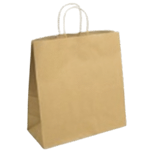 Large Brown Kraft with Twisted Handle Bag