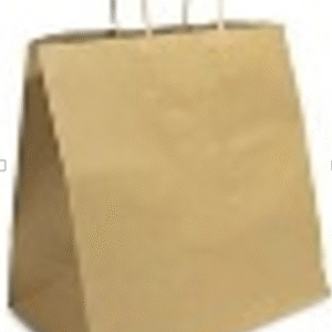 Medium Brown Kraft with Twisted Handle Bag